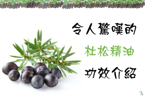 令人驚嘆的杜松精油 有機香氛organic Aromas